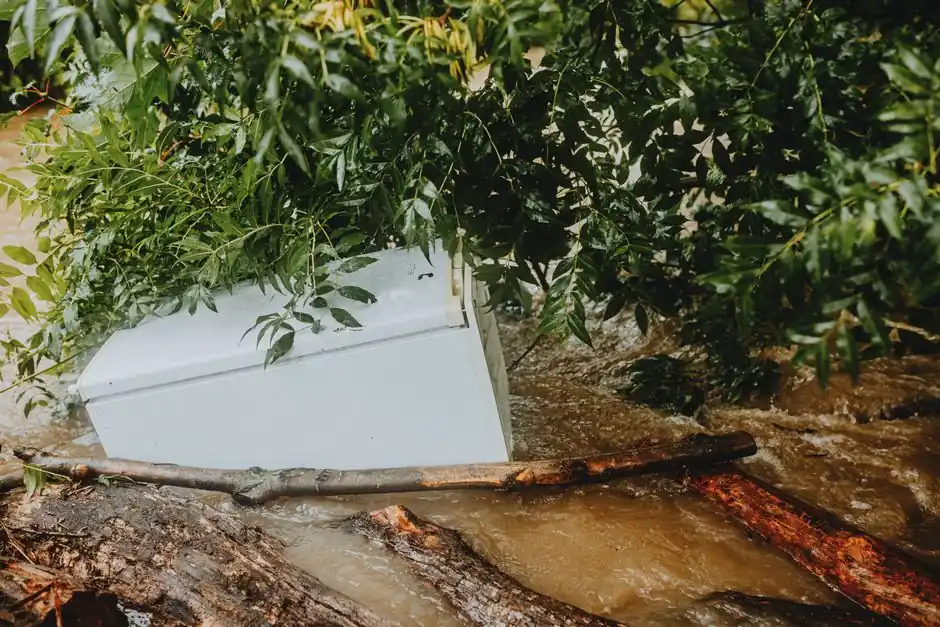 Benefits of Professional Water Damage Cleanup