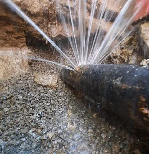 Burst pipe cleanup and structural drying in Snohomish County WA