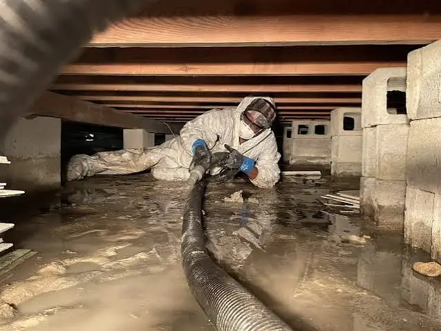 Crawl Space Moisture Control Everett WA
