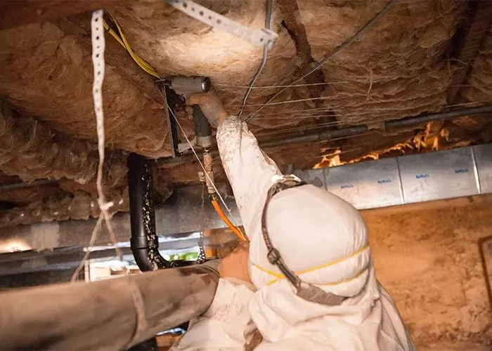 Crawl Space Water Damage Everett WA