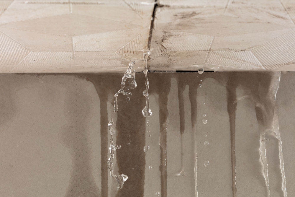 Roof Leak Repair in Everett WA
