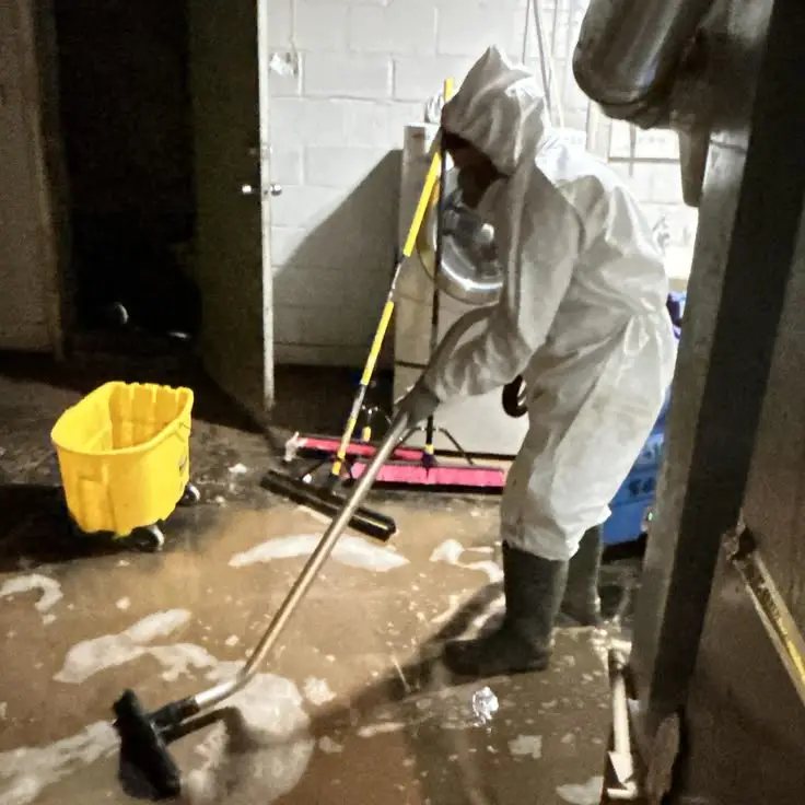 Sewage removal and cleanup Everett WA