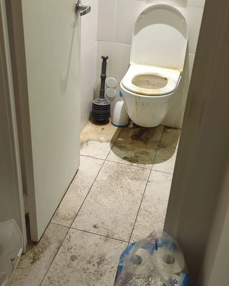 Sewage backup cleanup and sewage removal in Everett WA