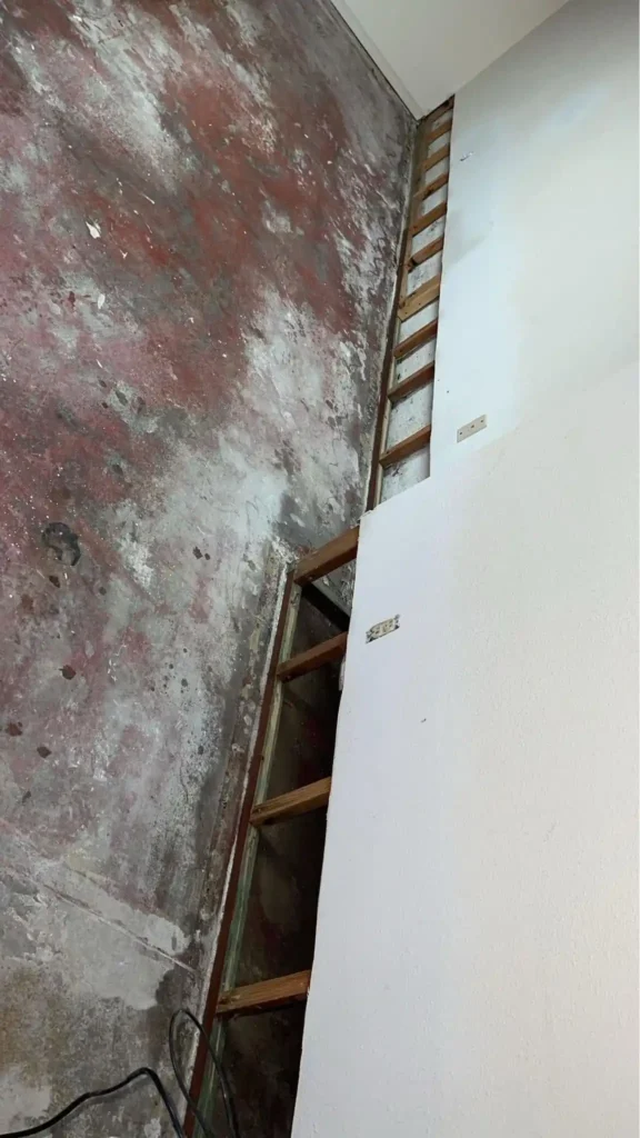 Commercial ceiling and wall water damage from leaks in Everett, WA