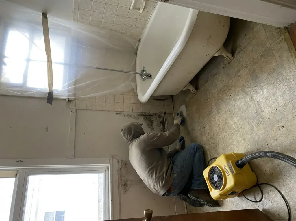 Commercial wet flooring and subfloor water damage in Everett, WA