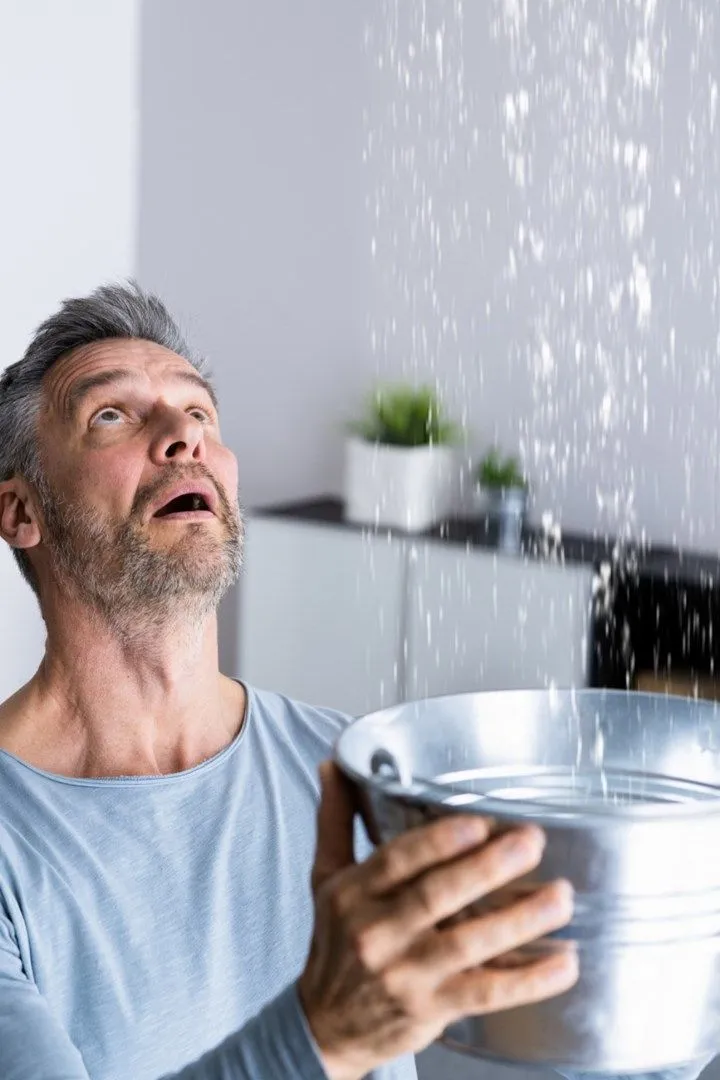 Emergency roof leak restoration and water damage cleanup in Everett WA