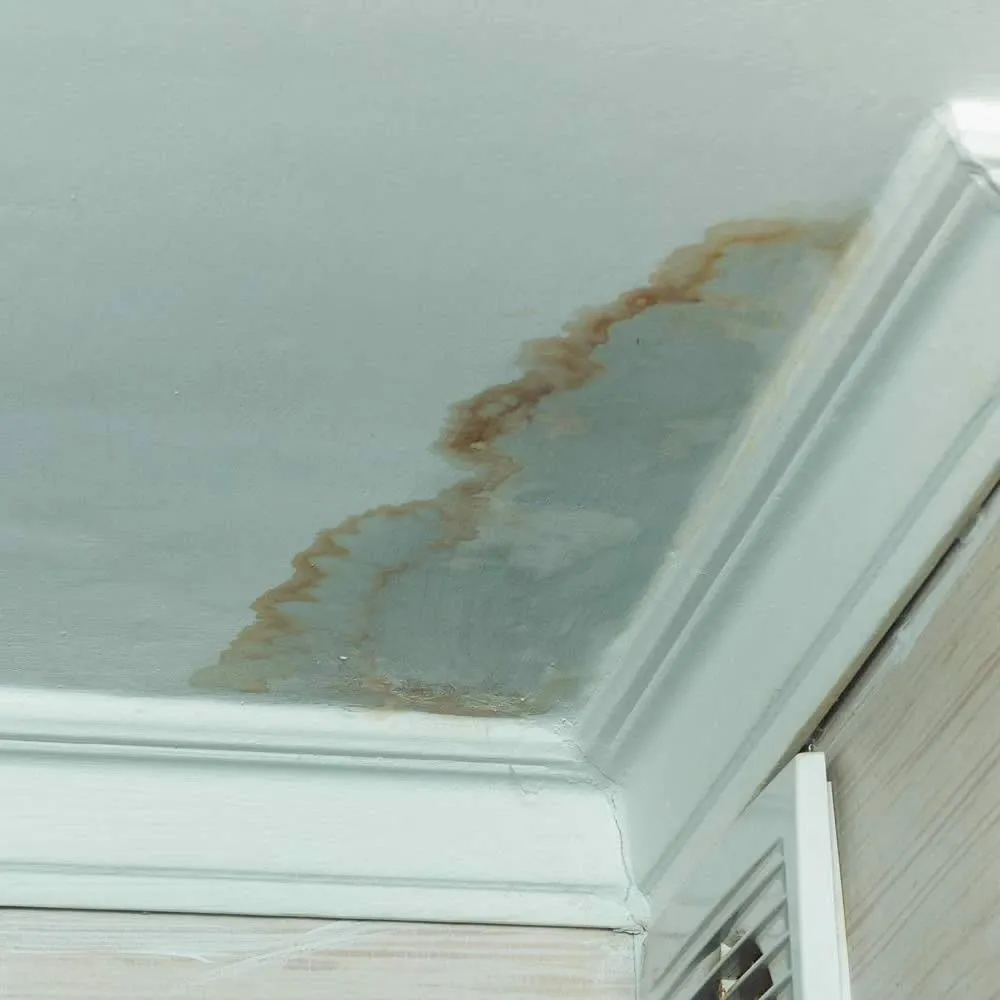 Emergency roof leak repair and restoration in Everett WA