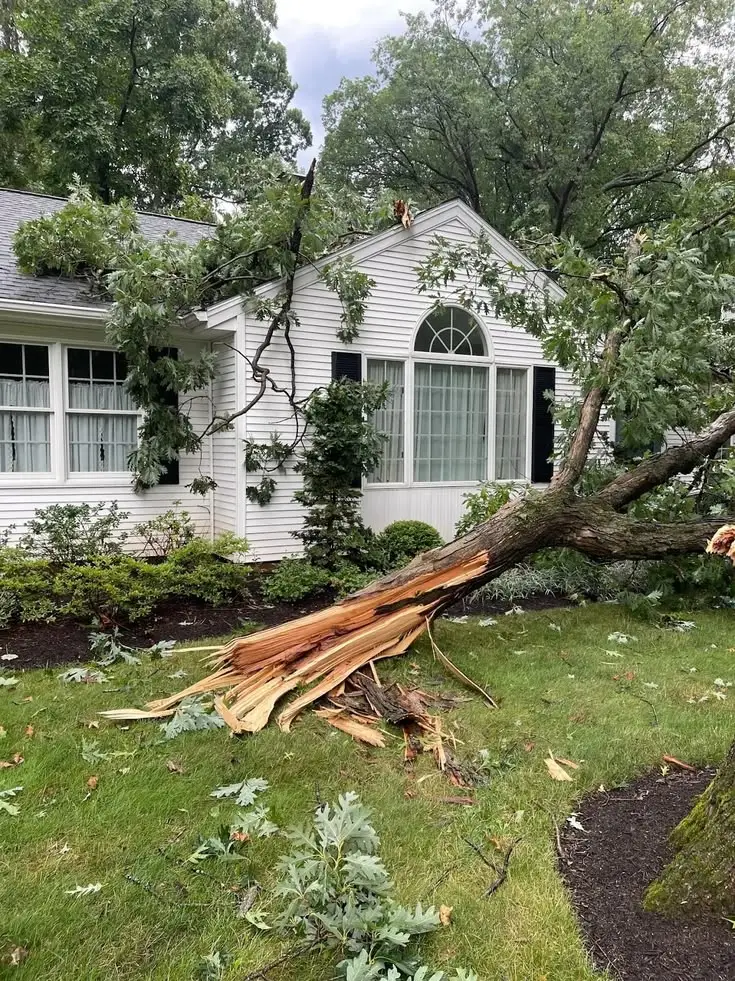 Storm damage causing water intrusion inside an Everett, WA property